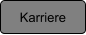 Karriere